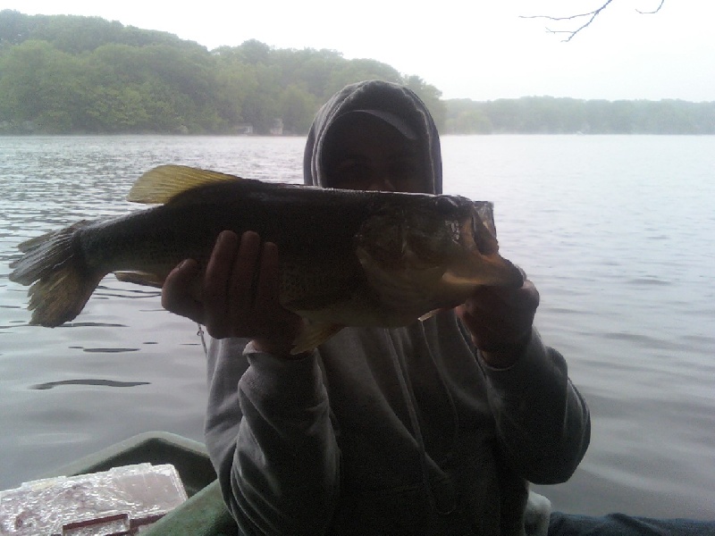 Largemouth