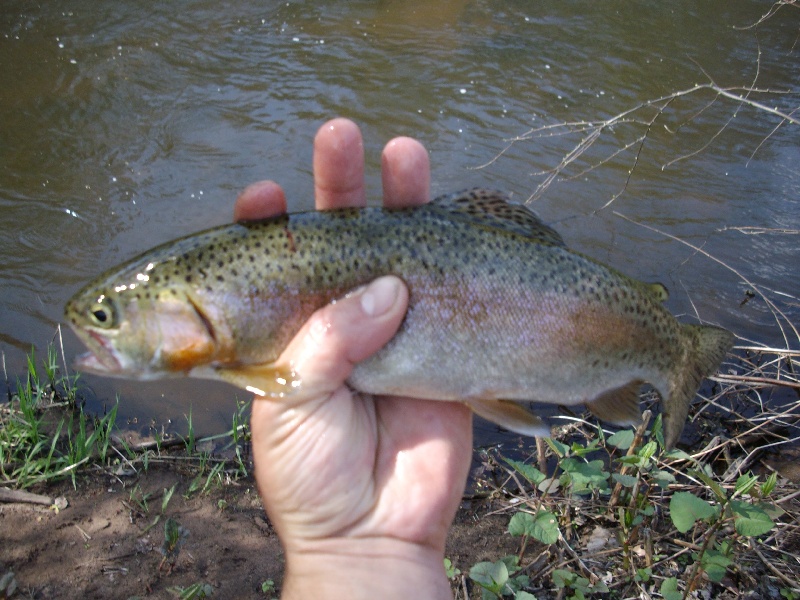 Hockanum River