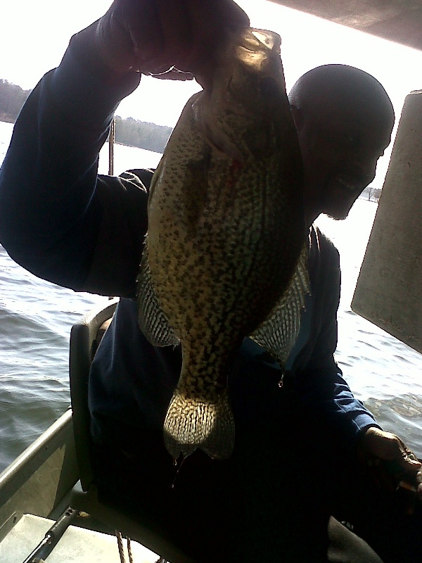 Crappie Fishing In GA