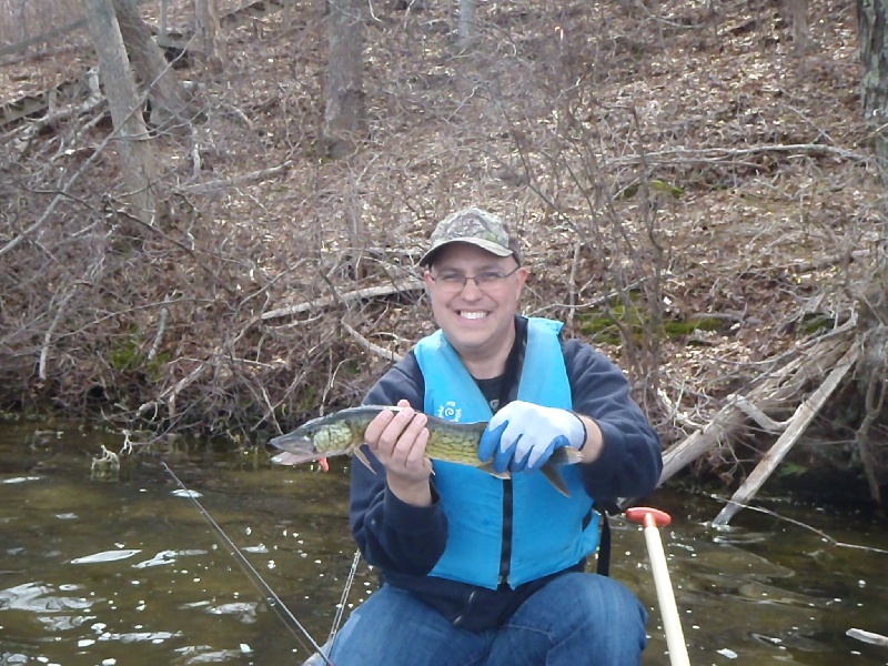 Chainpickerel