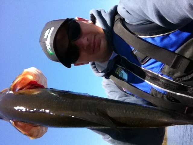 Monster largemouth 