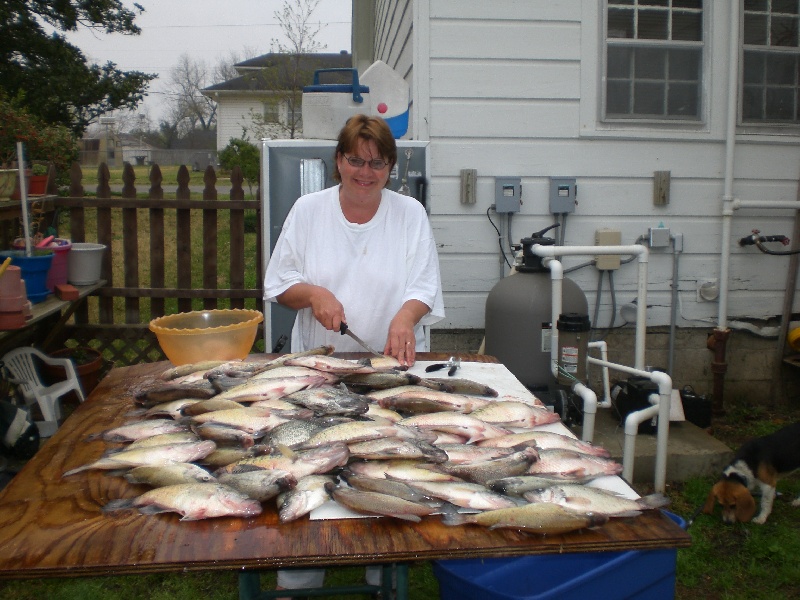 Another mess of crappie to clean