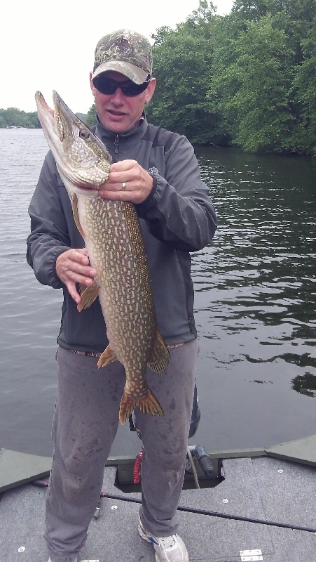 GIANT PIKE